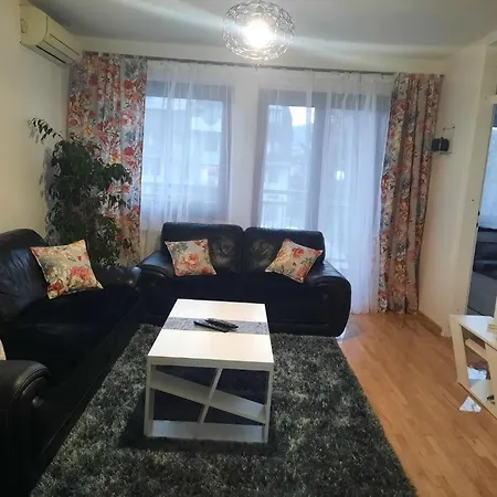 Apartment Dzoni *