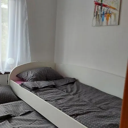 Apartment Dzoni *