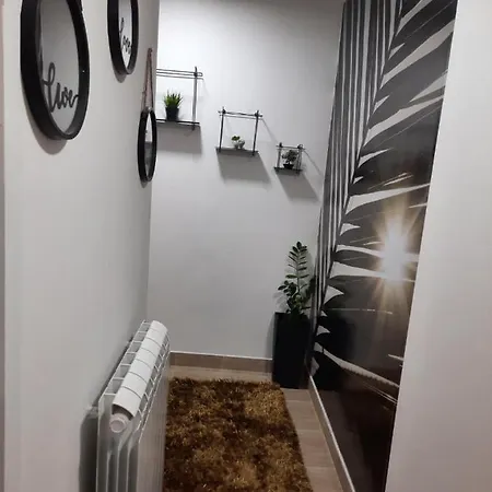 Apartment Dzoni