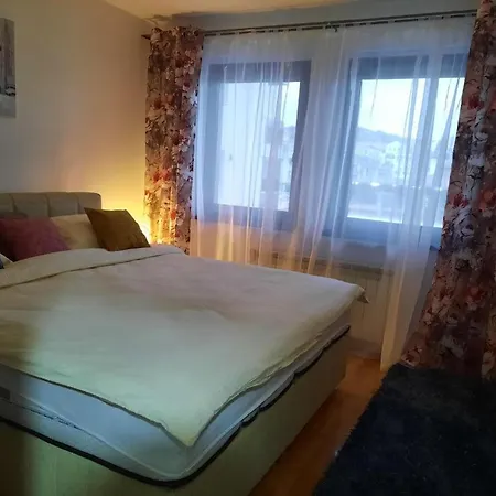 Dzoni Apartment *